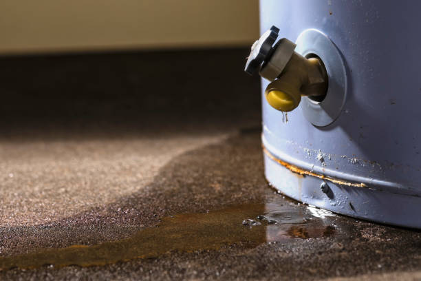 Best Flood restoration services  in Collinsburg, PA