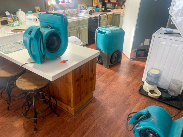 Reliable Collinsburg, PA Water damage restoration Solutions