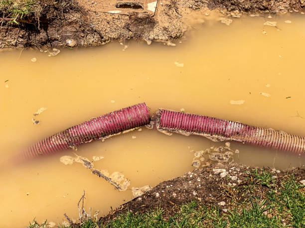 Best Water damage restoration near me  in Collinsburg, PA